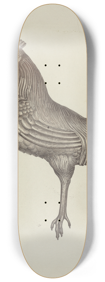 Robert Pohle - Weather Vane 8.25 inch art skate deck