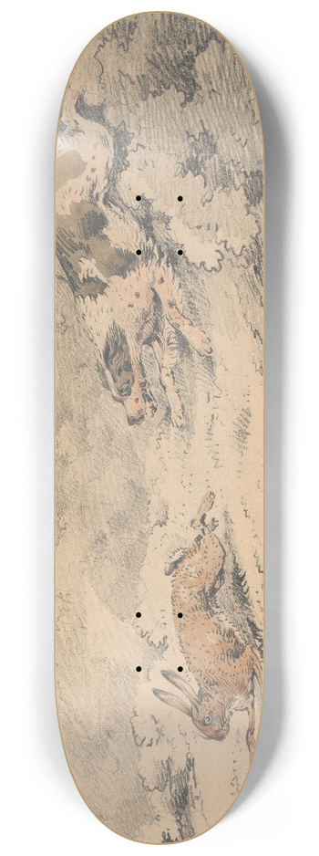 Samuel Alken - Spaniel Chasing a Hare 8.25 inch art skate deck