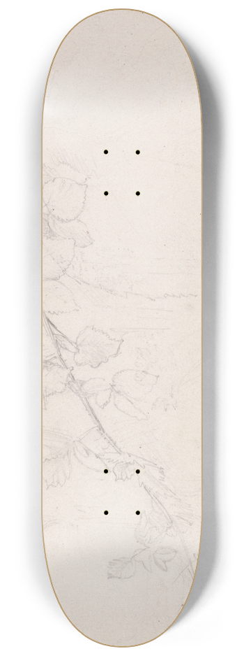 Samuel Palmer - Brambles 8.25 inch art skate deck