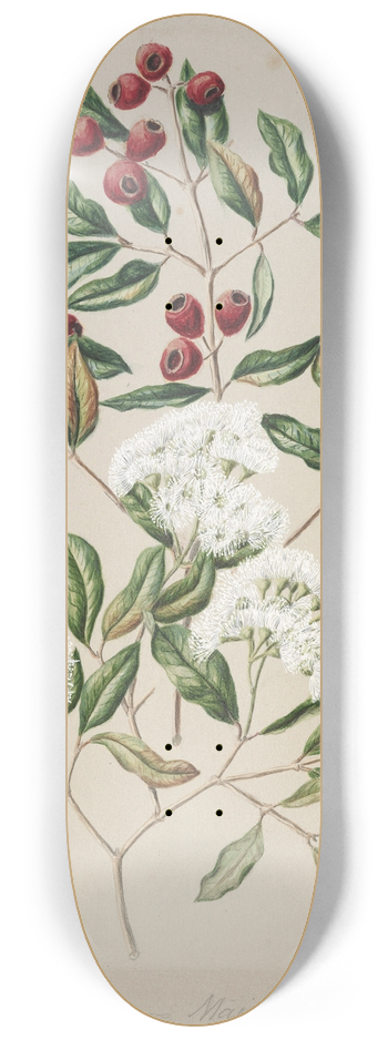Sarah Featon - Maire-Tawake 8.25 inch art skate deck