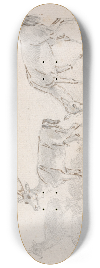 Sawrey Gilpin - Five Deer 8.25 inch art skate deck