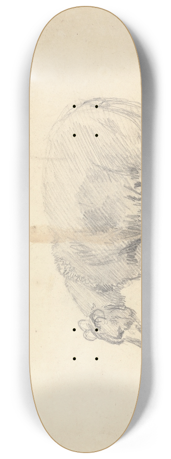 Sawrey Gilpin - Study of a Bear. 8.25 inch art skate deck