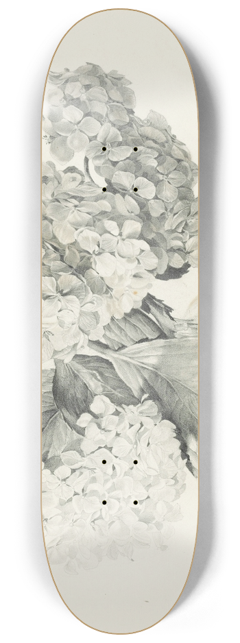Sergey Chekhonin - Hydrangeas in a vase 8.25 inch art skate deck