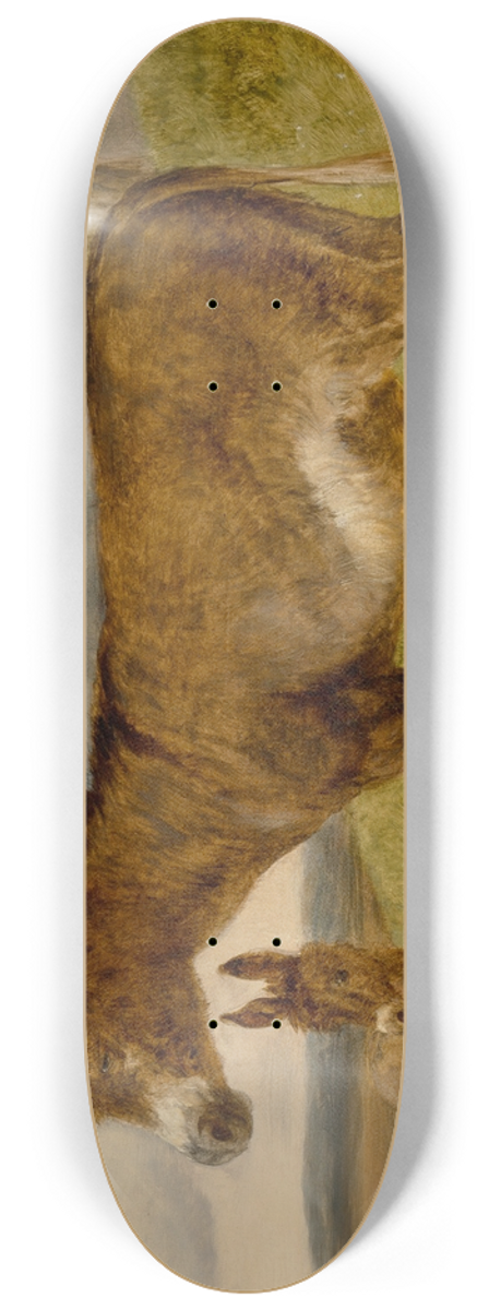 John Frederick Herring Snr. - Donkeys 8.25 inch art skate deck
