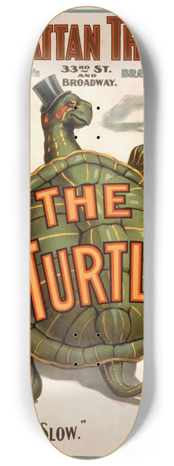 Strobridge and Co - The turtle 8.25 inch art skate deck