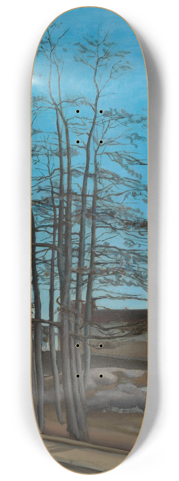 Sulho Sipil - Spring 8.25 inch art skate deck