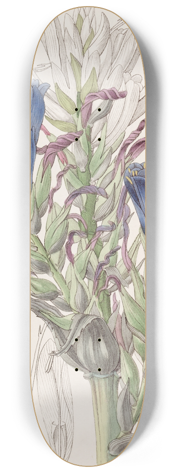 Sydenham Edwards - Blue Puya 8.25 inch art skate deck