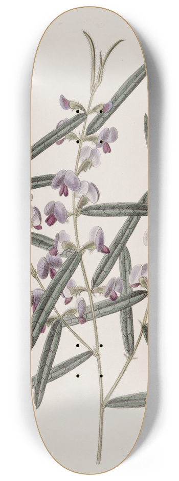 Sydenham Edwards - Captain Mangless Hovea 8.25 inch art skate deck