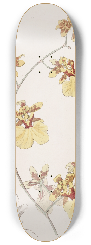 Sydenham Edwards - The Pelican Oncid 8.25 inch art skate deck