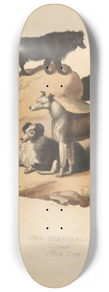 Sydenham Edwards - The Shepherds Dog and The Cur 8.25 inch art skate deck