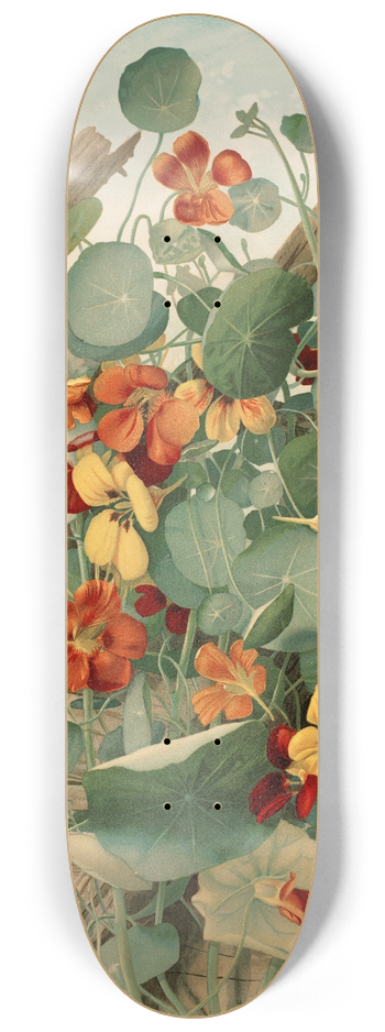 Thaddeus Welch - The Nasturtiums, No. 2 8.25 inch art skate deck