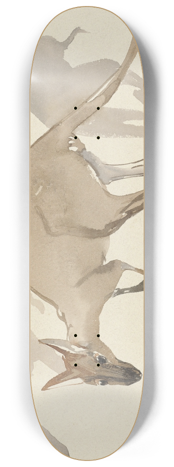 Theo van Hoytema - Kangoeroes 8.25 inch art skate deck
