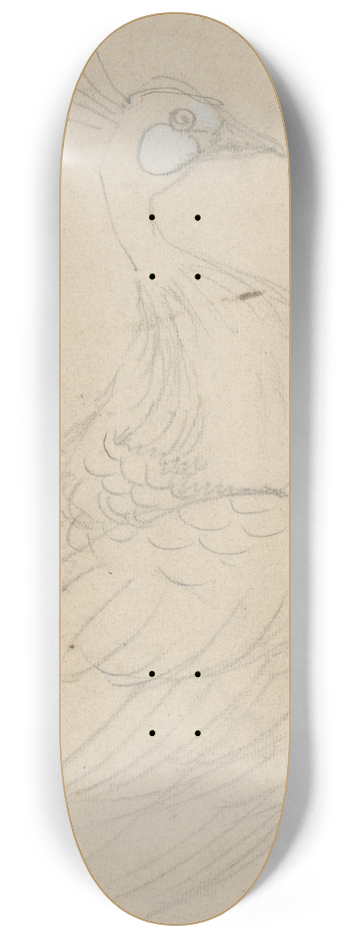 Theo van Hoytema - Pauw 8.25 inch art skate deck