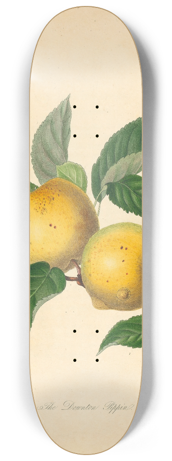 Thomas Andrew Knight - Downton Pippin 8.25 inch art skate deck