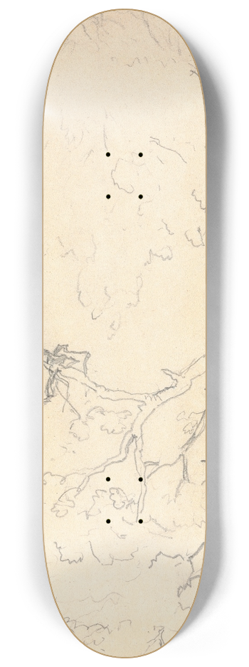 Thomas Bradshaw - Sketch of a Large Tree 8.25 inch art skate deck