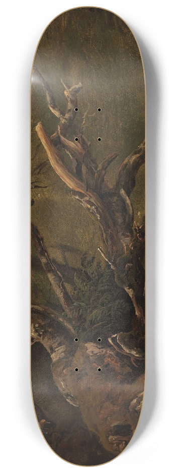 Thomas Fearnley - Study of decaying Tree 8.25 inch art skate deck
