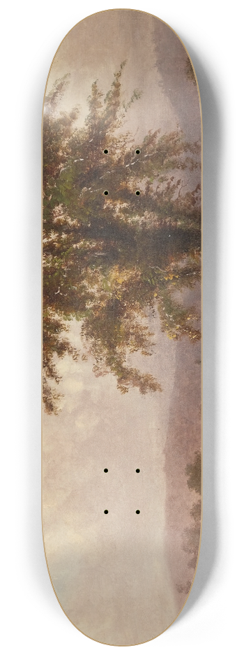 Thomas Hill - Landscape 8.25 inch art skate deck
