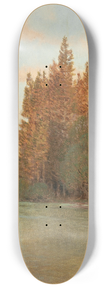 Thomas Leitner - Morgen 8.25 inch art skate deck