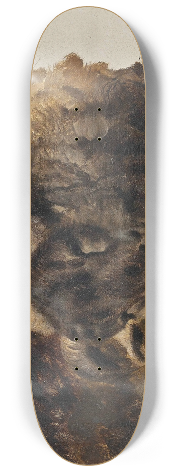 Thomas Sidney Cooper - Study Of A Rams Head 8.25 inch art skate deck