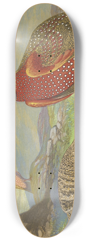 Thomas Waterman Wood - Horned Pheasants 8.25 inch art skate deck