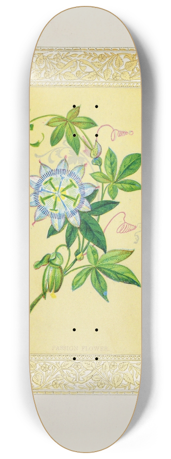 John Henry Ingram - Passion flower 8.25 inch art skate deck