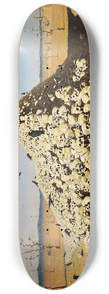 Vasily Vereshchagin - The Apotheosis of War 8.25 inch art skate deck