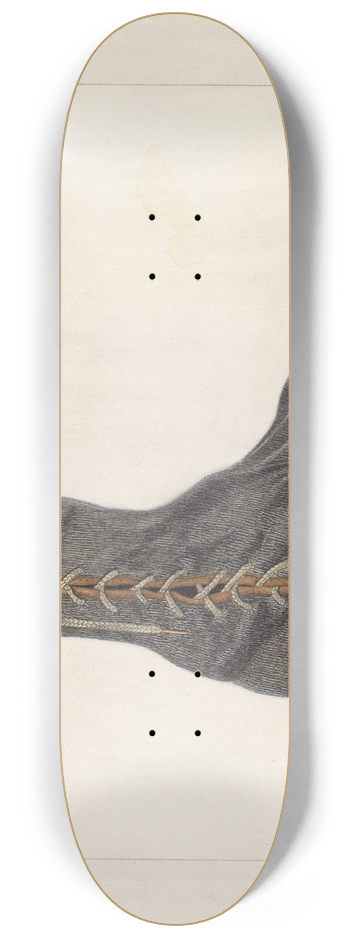 Vincent P. Rosel - Ladys Shoe 8.25 inch art skate deck