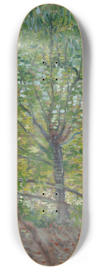Vincent van Gogh - Trees 8.25 inch art skate deck