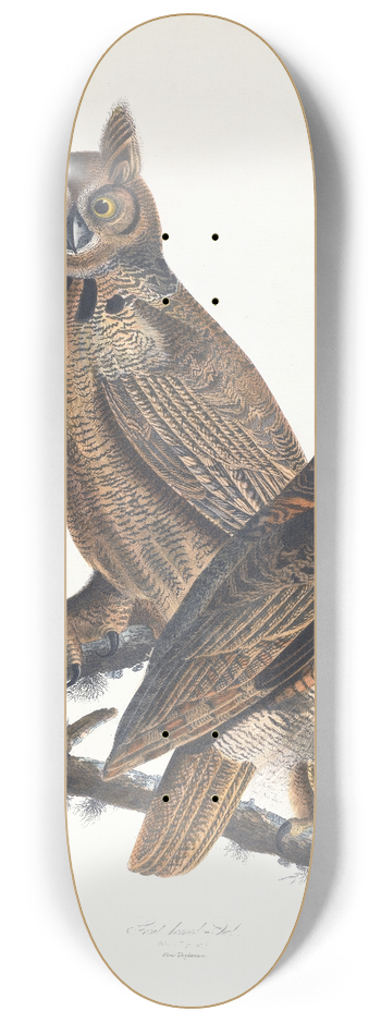John James Audubon - Great horned-owl 8.25 inch art skate deck