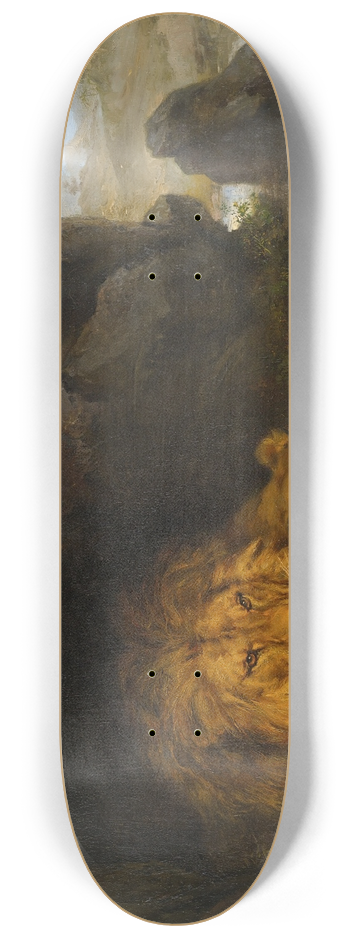 Wilhelm Kuhnert - Two lions in a cave 8.25 inch art skate deck