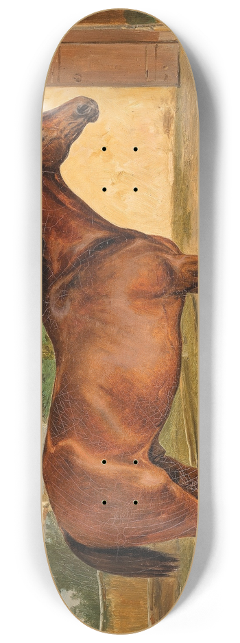 Wilhelm Richter - Bay Horse on the Paddock 8.25 inch art skate deck