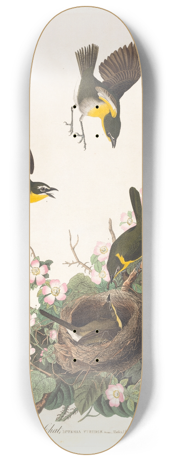 John James Audubon - Yellow-breasted chat 8.25 inch art skate deck