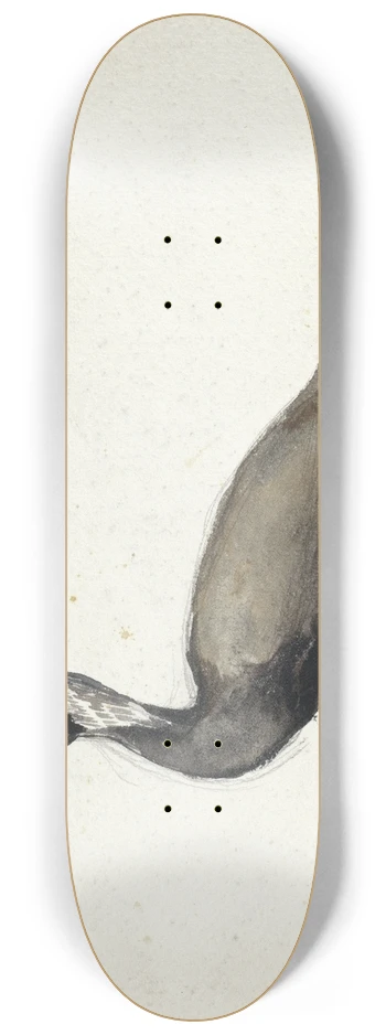 Willem Roelofs - Aalscholver 8.25 inch art skate deck
