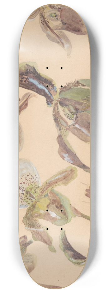 Willem van Konijnenburg - Zeven studies van orchideen 8.25 inch art skate deck