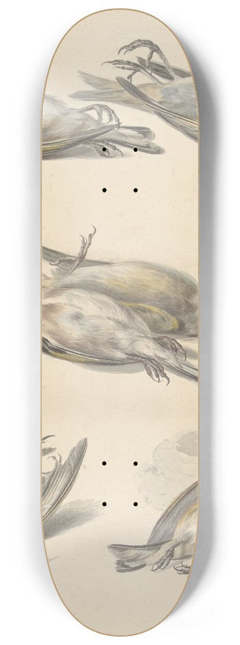 Willem van Leen - Zes dode vogeltjes 8.25 inch art skate deck
