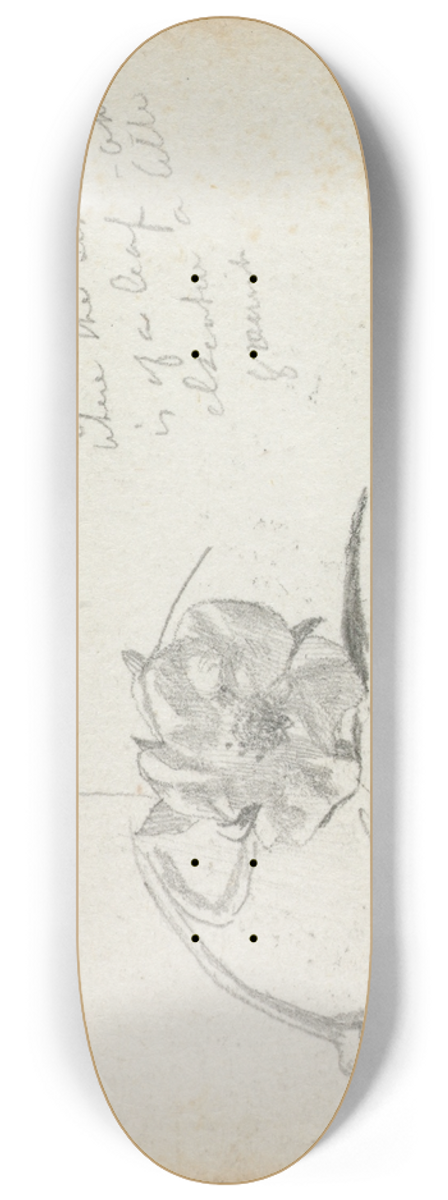 John La Farge - Strawberry Blossom 8.25 inch art skate deck