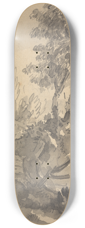 William Gilpin - Landscape 8.25 inch art skate deck