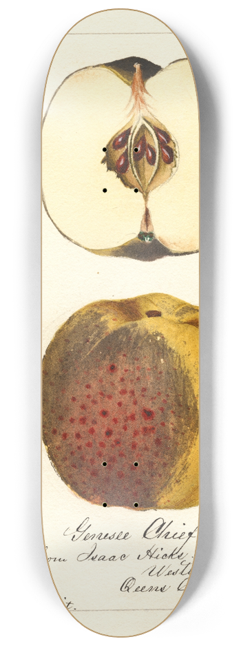 William Henry Prestele - Malus domestica: Genesee Chief 8.25 inch art skate deck