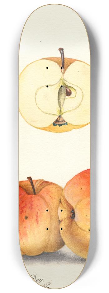 William Henry Prestele - Malus domestica: Ledyard 8.25 inch art skate deck