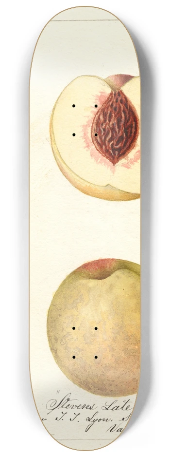William Henry Prestele - Prunus persica: Stevens Late 8.25 inch art skate deck