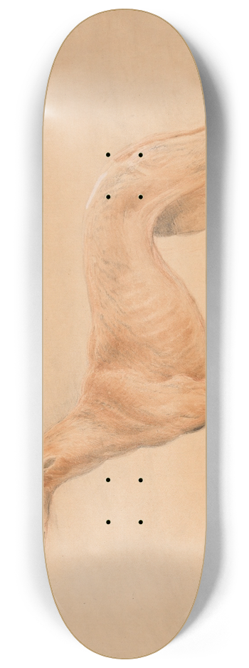 John Linnell - Earl Talbots Hound, Thomasine 8.25 inch art skate deck