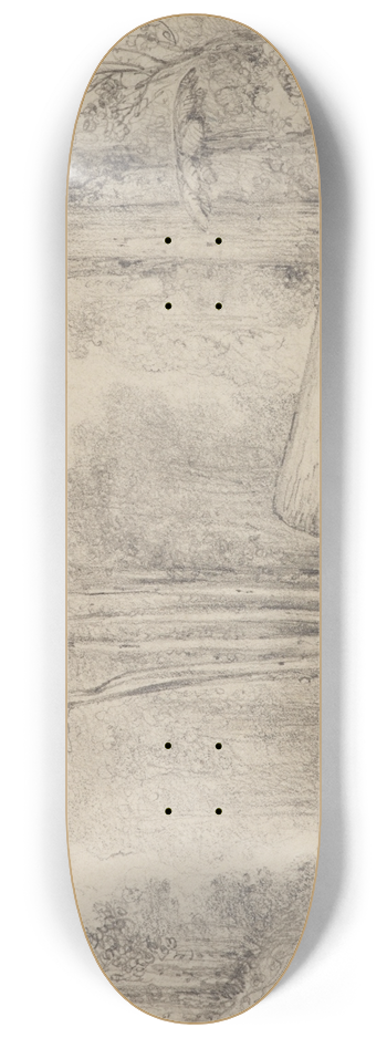 William Swainson - Hutt Road, round the first gorge, looking down 8.25 inch art skate deck