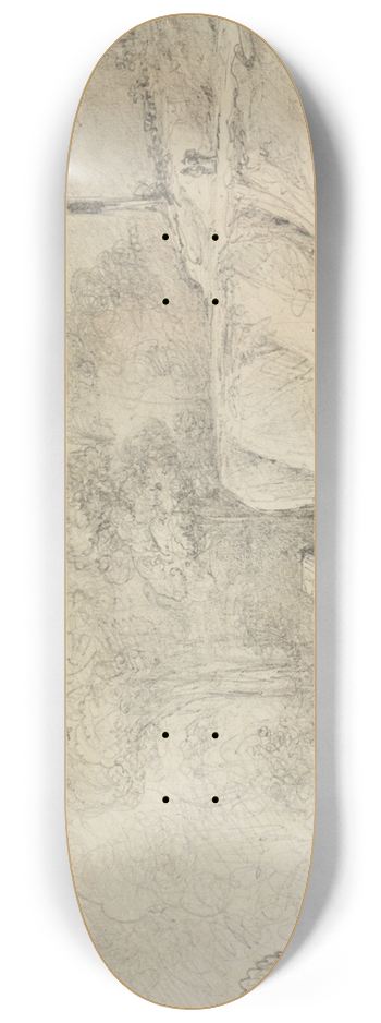 William Swainson - River Hutt joined by the Mangaroa 8.25 inch art skate deck