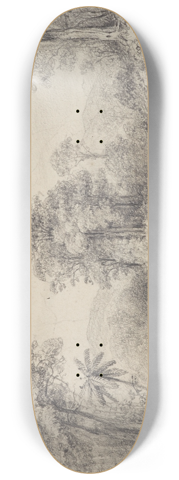 William Swainson - Scene on the Hutt River 8.25 inch art skate deck