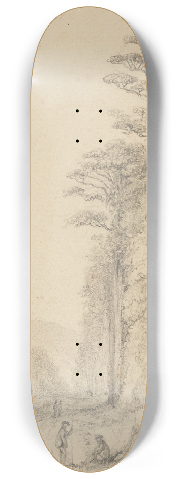 William Swainson - Totara Grove, Upper Hutt 8.25 inch art skate deck