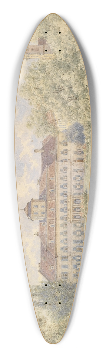 Franz Alt - Schloss 39.3 inch art pintail longboard deck