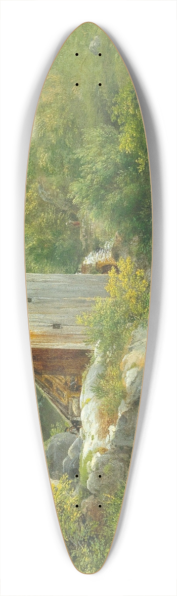 Franz Steinfeld - Gebirgsmhle 39.3 inch art pintail longboard deck