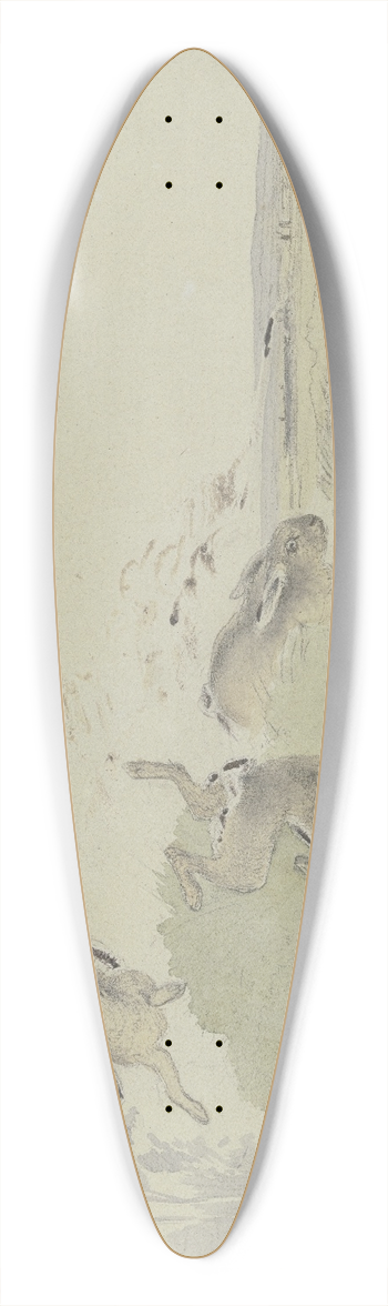 Friedrich Wilhelm Keyl - Drei Hasen erschrecken vor der Eisenbahn 39.3 inch art pintail longboard deck