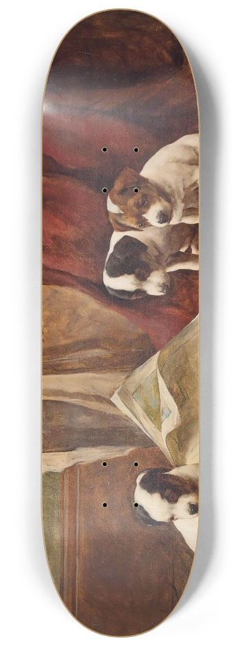 John S. Hayes - The alphabet lesson 8.25 inch art skate deck