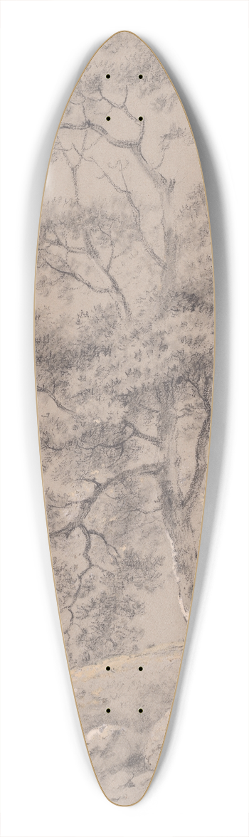George Barret - Tree Study 39.3 inch art pintail longboard deck